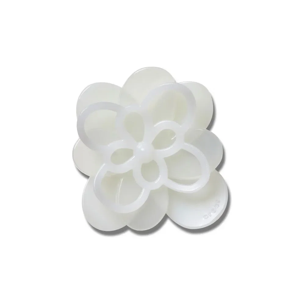 Flor Branca Florescendo 1