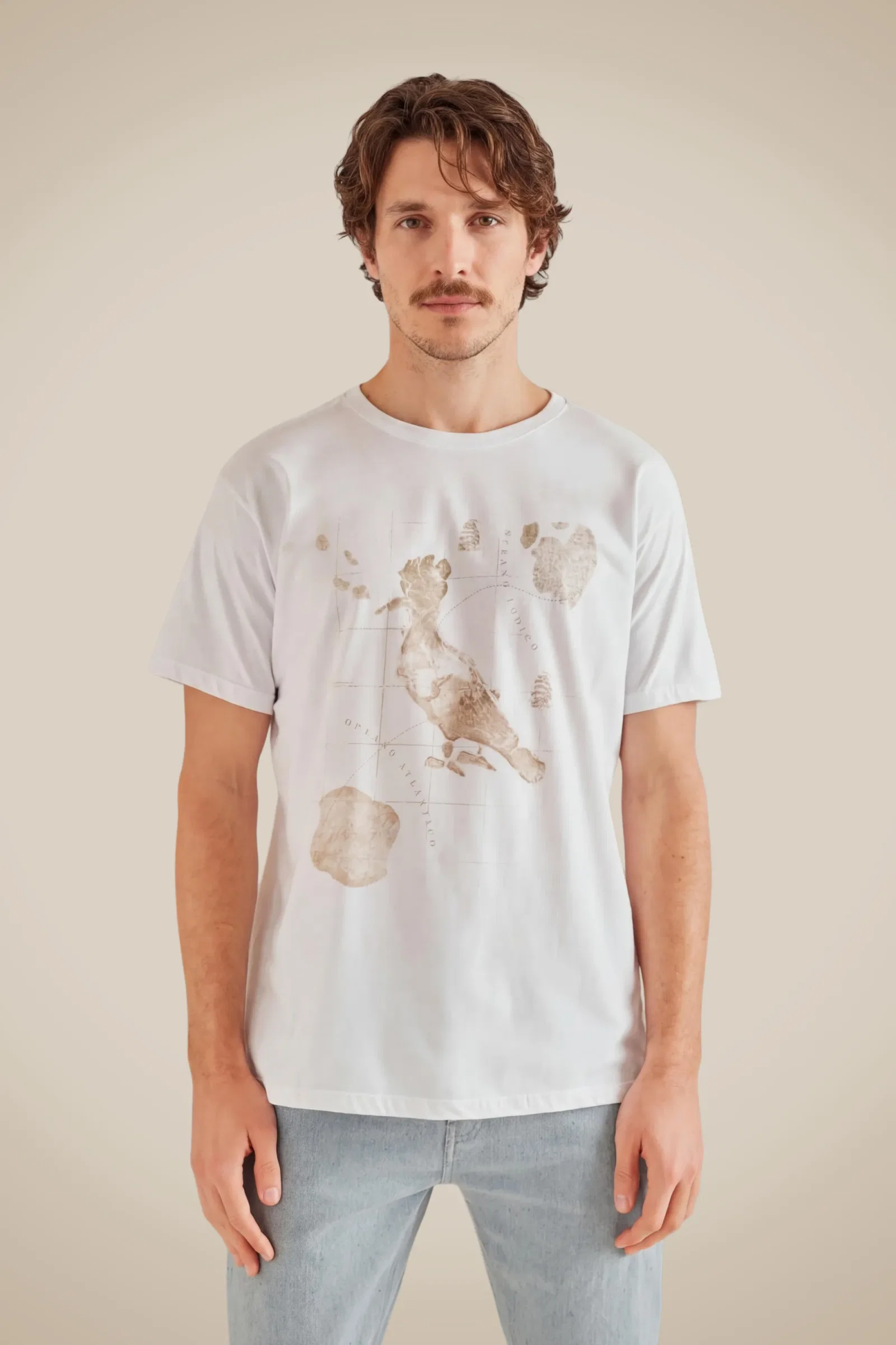 Camiseta Pica Pau Mapa