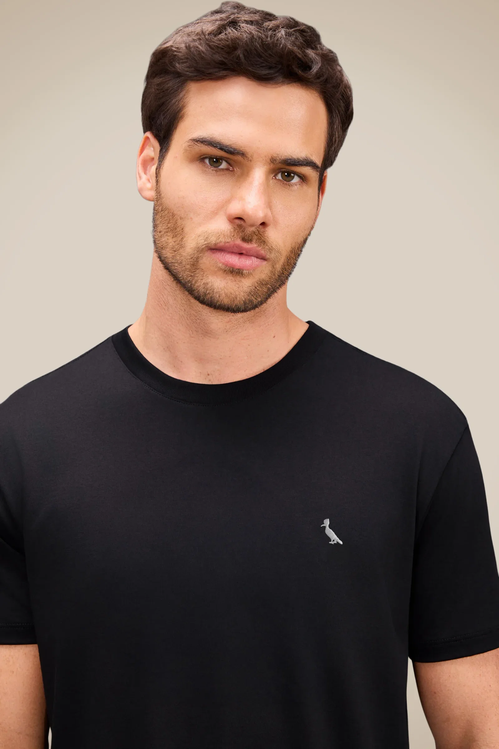 Camiseta Básica Suspiro Pica-pau Bordado — imagem 1