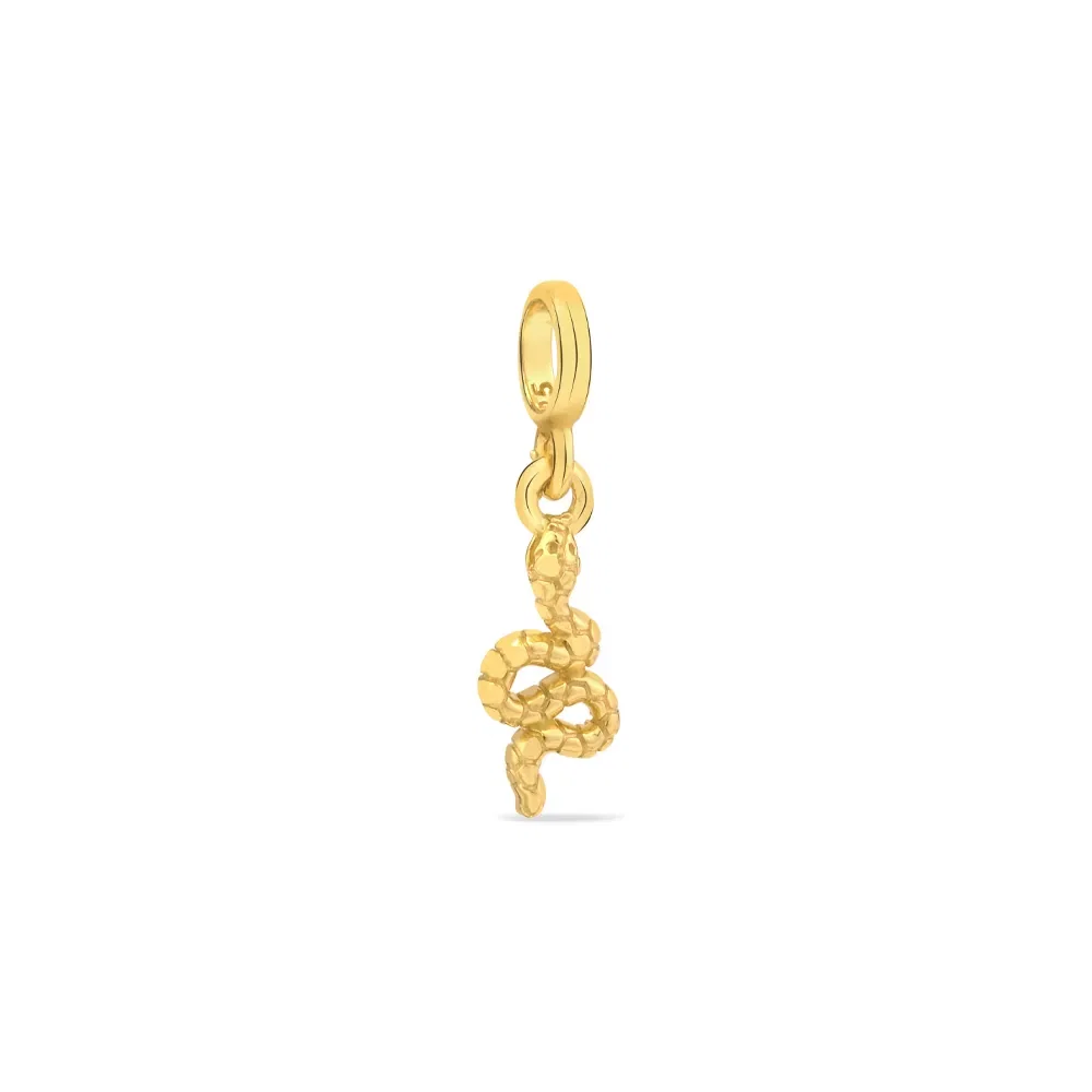 Pingente Life Enigma Serpente em Prata 925 com Banho de Ouro Amarelo 18k — imagem 1