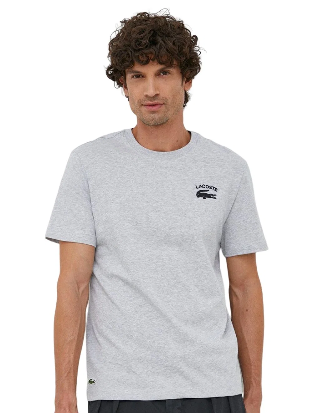 Camiseta Lacoste Masculina Regular Fit Cotton Jersey Cinza