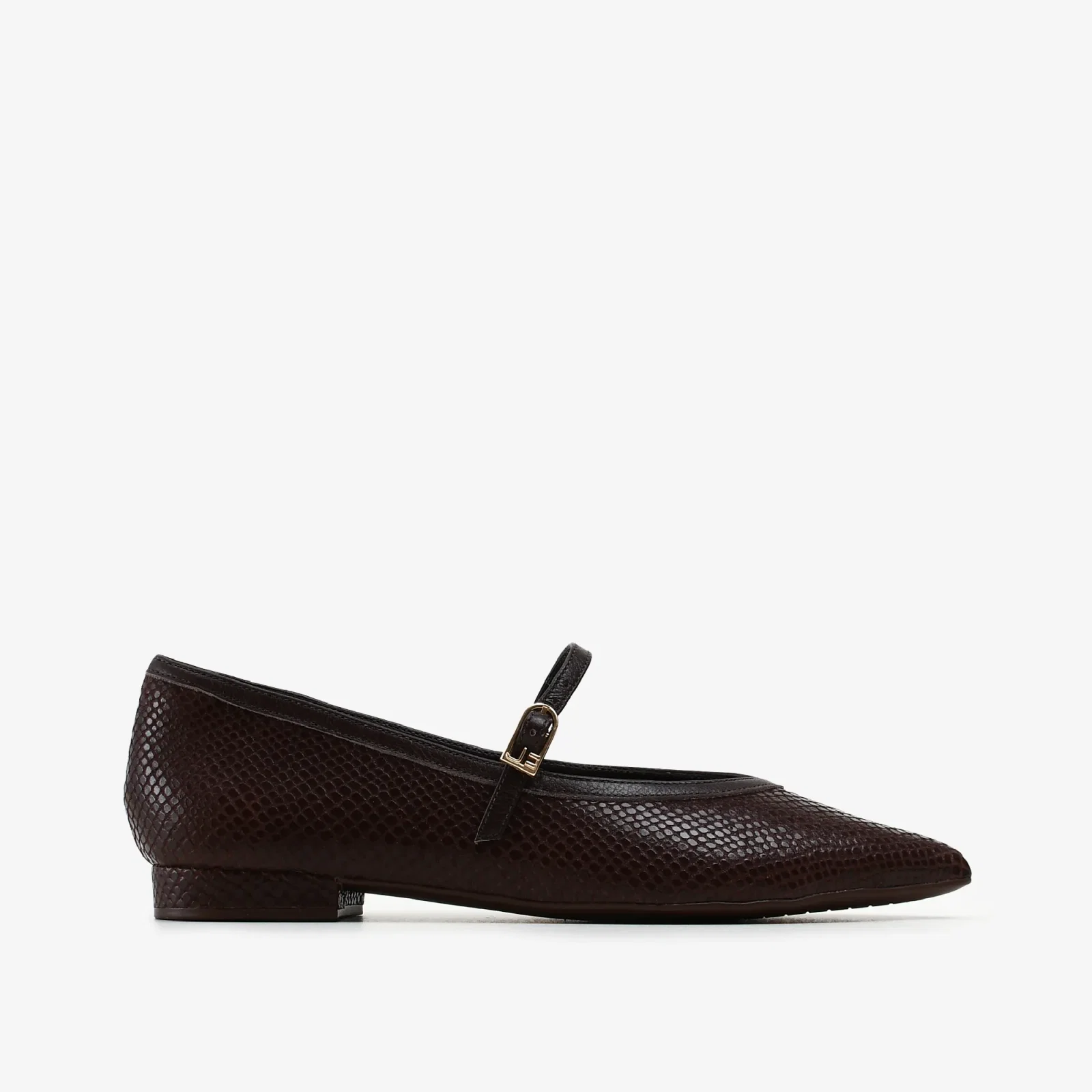 Sapatilha Marrom Terroir Couro Snake — imagem 1